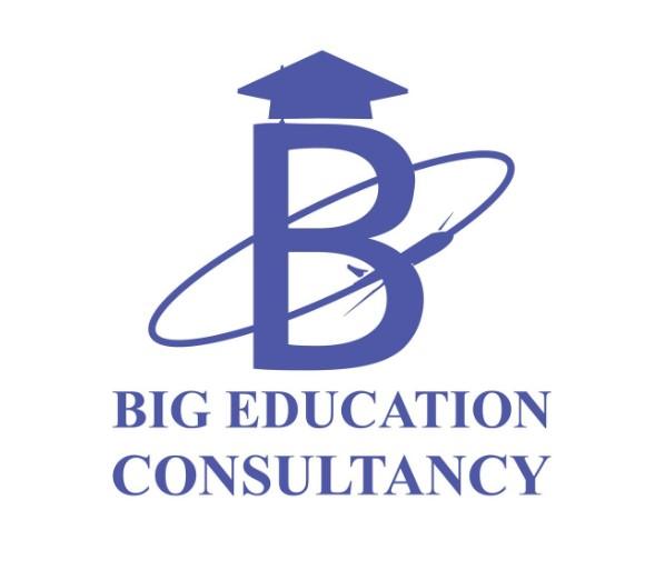 Big Education Consultancy logo