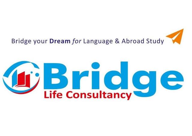 Bridge Life Consultancy logo