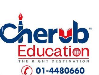 Cherub Education Consultancy logo