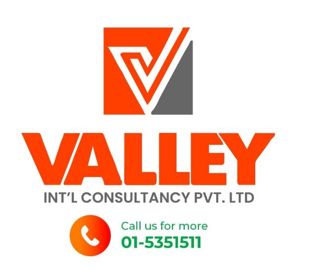 Valley International Consultancy logo